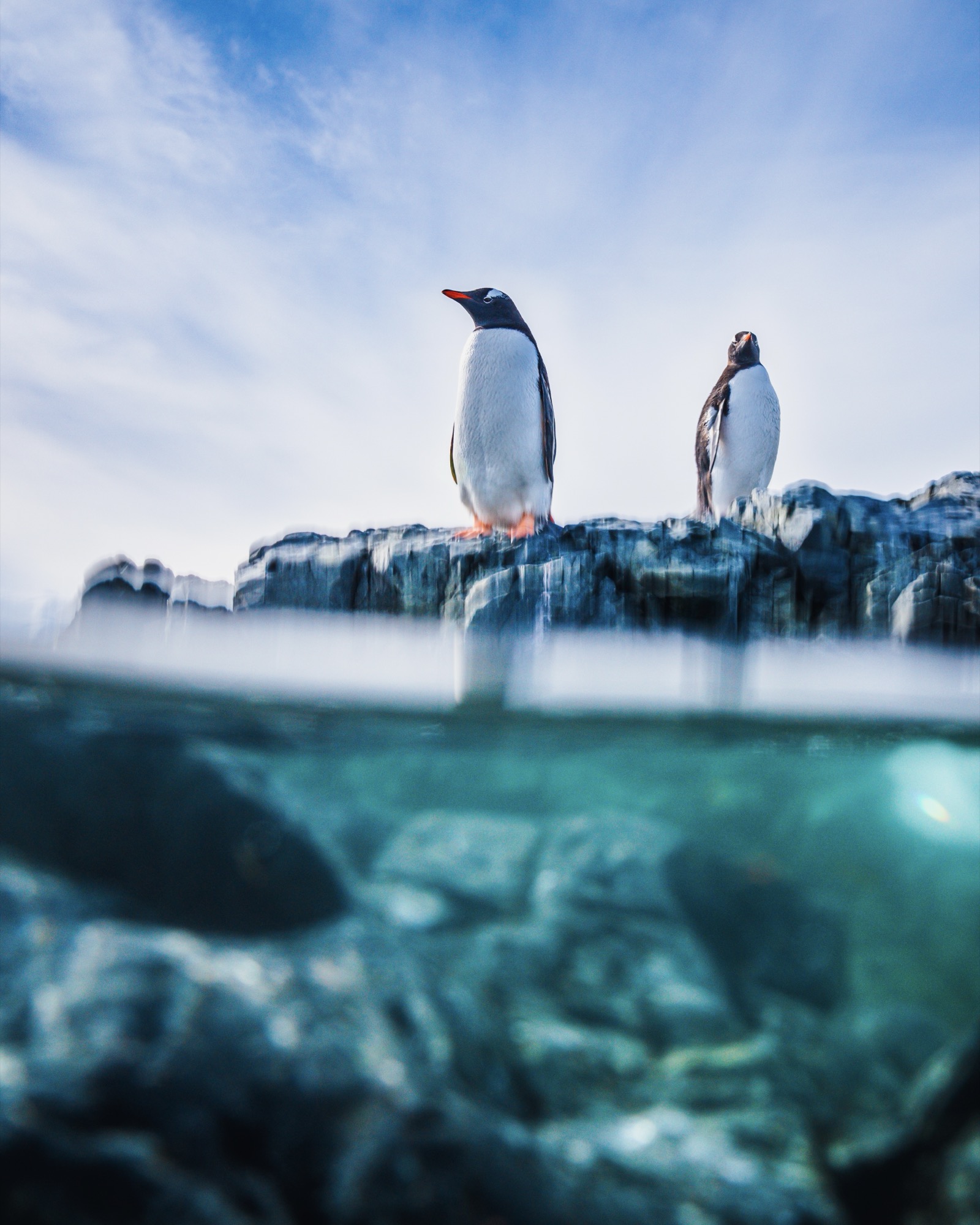 Antarctica split shot — Stein Studios, 2024
